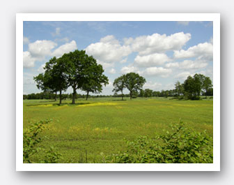 Infobild Ostfriesland